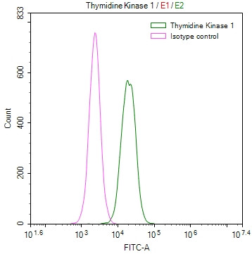 TK1 Antibody in Flow Cytometry (Flow)