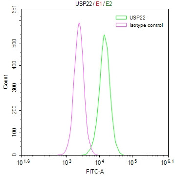 USP22 Antibody in Flow Cytometry (Flow)