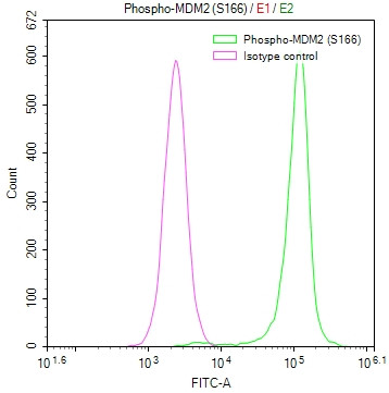Phospho-MDM2 (Ser166) Antibody in Flow Cytometry (Flow)