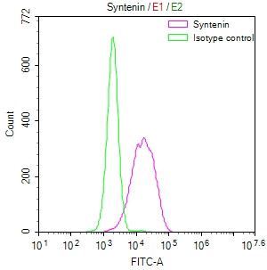 Syntenin 1 Antibody in Flow Cytometry (Flow)