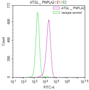 ATGL Antibody in Flow Cytometry (Flow)