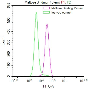 malE Antibody in Flow Cytometry (Flow)