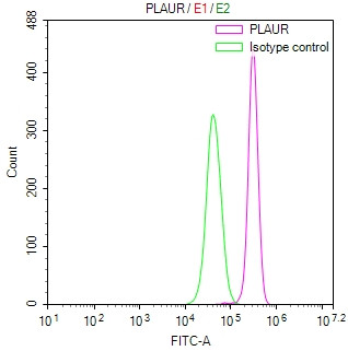 uPAR Antibody in Flow Cytometry (Flow)