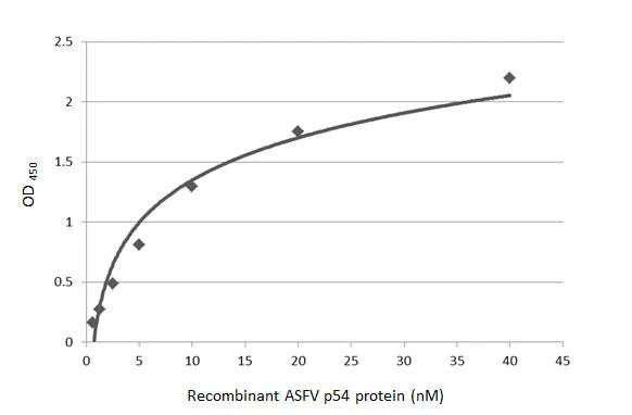 African Swine Fever Virus Structural Protein p54 Antibody in ELISA (ELISA)