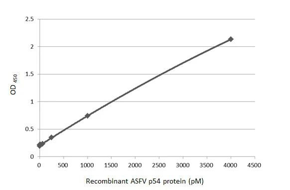 African Swine Fever Virus Structural Protein p54 Antibody in ELISA (ELISA)