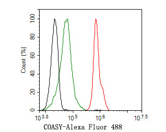 CoA Synthase Antibody in Flow Cytometry (Flow)