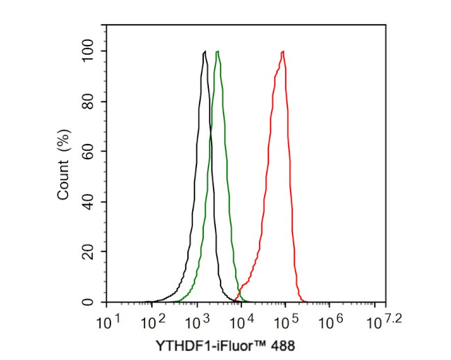 YTHDF1 Antibody in Flow Cytometry (Flow)