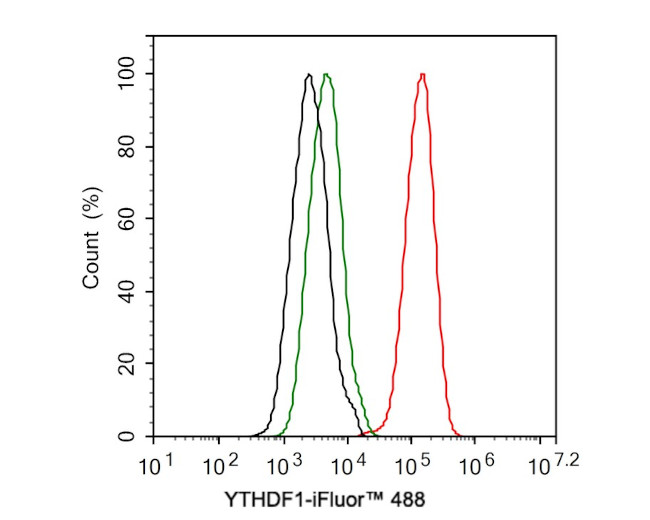 YTHDF1 Antibody in Flow Cytometry (Flow)