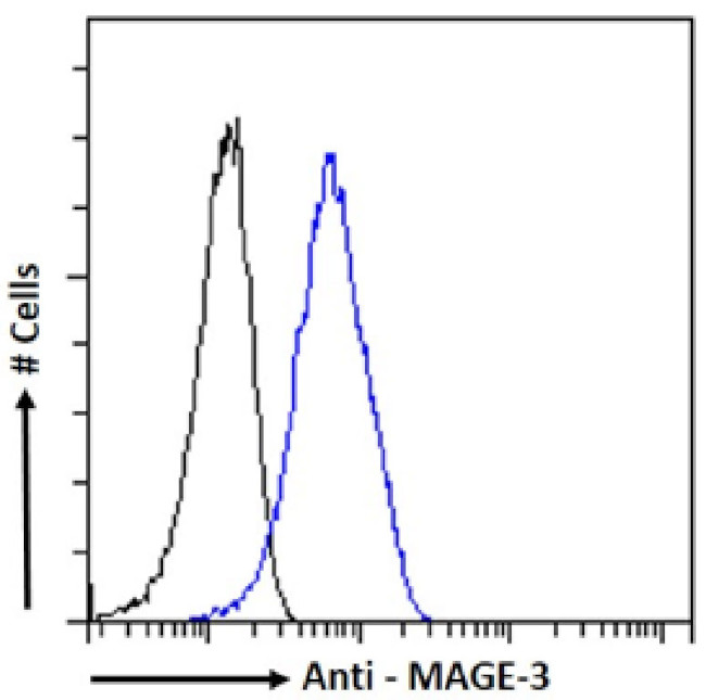 MAGEA3 Chimeric Antibody in Flow Cytometry (Flow)
