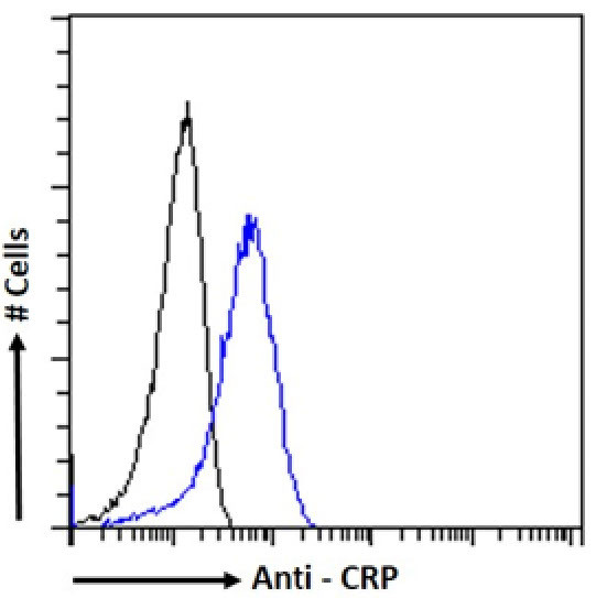 CRP Chimeric Antibody in Flow Cytometry (Flow)