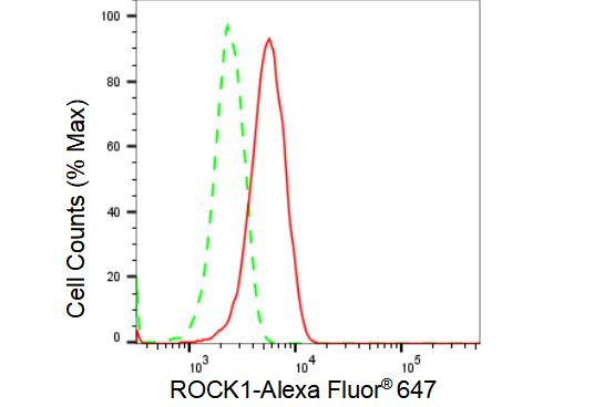 ROCK1 Antibody in Flow Cytometry (Flow)
