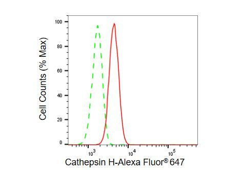 Cathepsin H Antibody in Flow Cytometry (Flow)