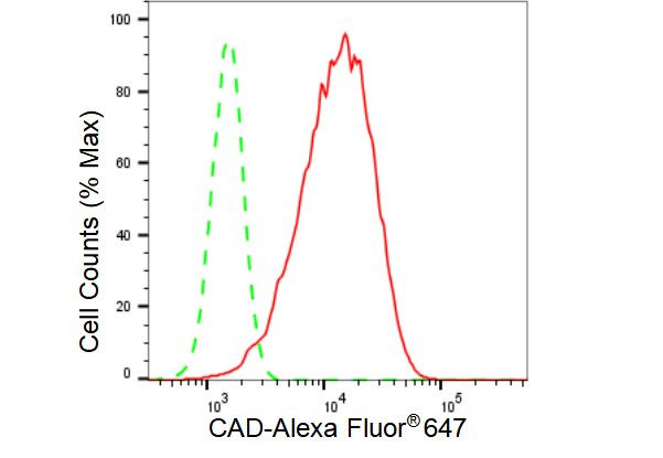 CAD Antibody in Flow Cytometry (Flow)