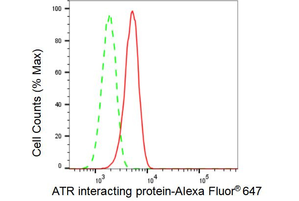 ATRIP Antibody in Flow Cytometry (Flow)