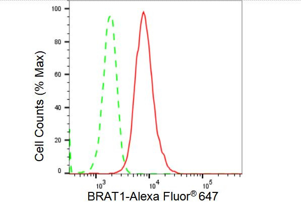 BAAT1 Antibody in Flow Cytometry (Flow)