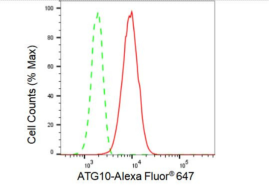 ATG10 Antibody in Flow Cytometry (Flow)