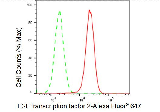 E2F2 Antibody in Flow Cytometry (Flow)