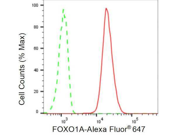 FOXO1 Antibody in Flow Cytometry (Flow)