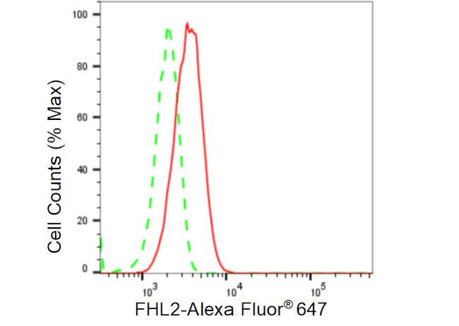 FHL2 Antibody in Flow Cytometry (Flow)