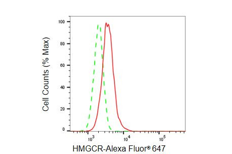 HMGCR Antibody in Flow Cytometry (Flow)