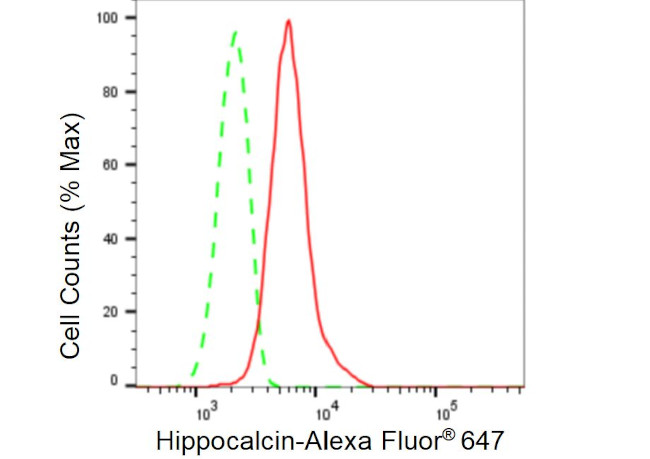 Hippocalcin Antibody in Flow Cytometry (Flow)
