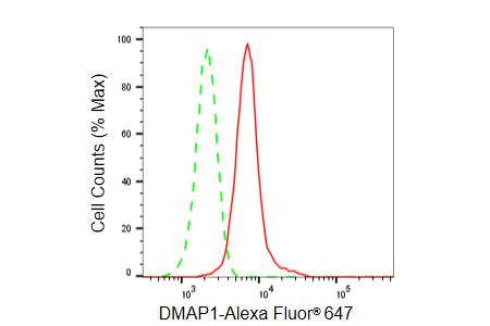 DMAP1 Antibody in Flow Cytometry (Flow)