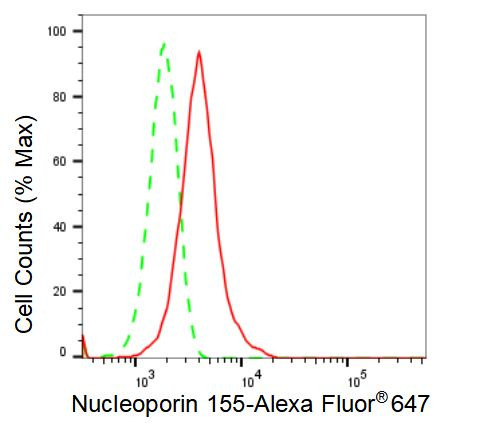 NUP155 Antibody in Flow Cytometry (Flow)
