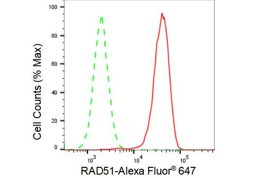 RAD51 Antibody in Flow Cytometry (Flow)