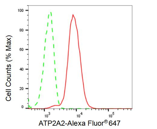 SERCA2 ATPase Antibody in Flow Cytometry (Flow)