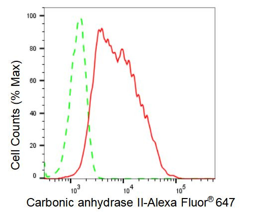 Carbonic Anhydrase II Antibody in Flow Cytometry (Flow)