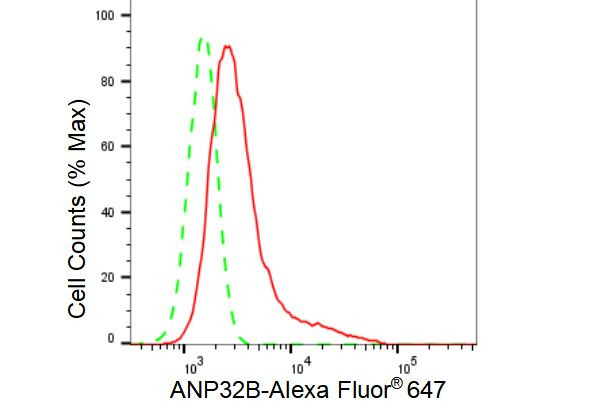 PHAPI2 Antibody in Flow Cytometry (Flow)