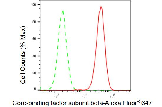 CBF beta Antibody in Flow Cytometry (Flow)