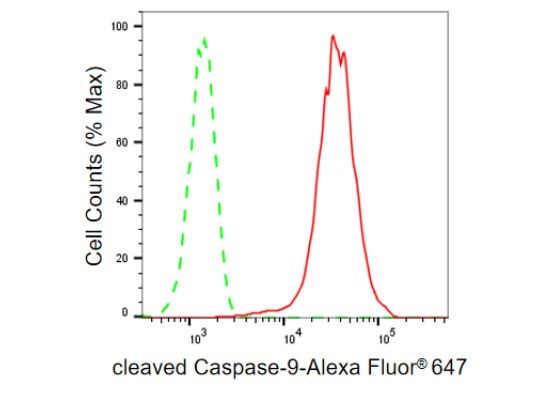 Caspase 9 (Cleaved Asp315) Antibody in Flow Cytometry (Flow)