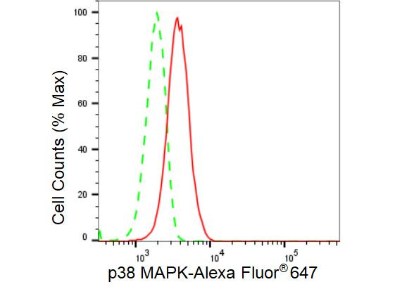 p38 MAPK Antibody in Flow Cytometry (Flow)