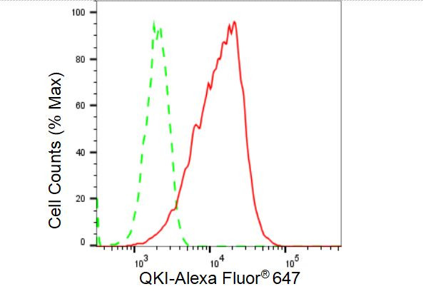 QKI Antibody in Flow Cytometry (Flow)