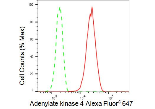 Adenylate Kinase 4 Antibody in Flow Cytometry (Flow)