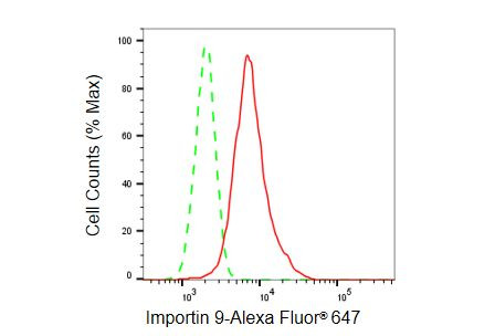 Importin 9 Antibody in Flow Cytometry (Flow)