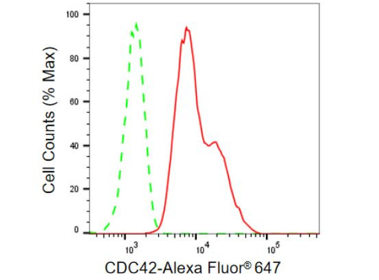 Cdc42 Antibody in Flow Cytometry (Flow)