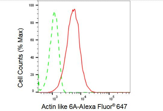 BAF53A Antibody in Flow Cytometry (Flow)