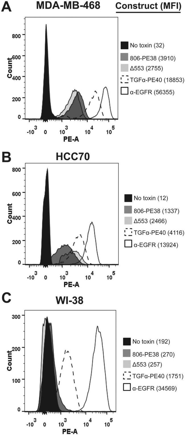 EGFR Antibody in Flow Cytometry (Flow)