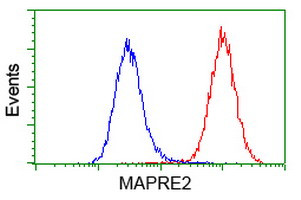 EB2 (MAPRE2) Antibody in Flow Cytometry (Flow)