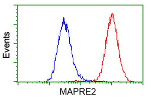 EB2 (MAPRE2) Antibody in Flow Cytometry (Flow)