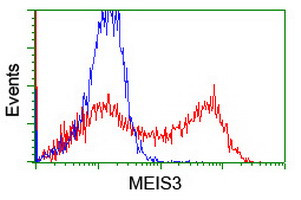 MEIS3 Antibody in Flow Cytometry (Flow)