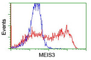 MEIS3 Antibody in Flow Cytometry (Flow)