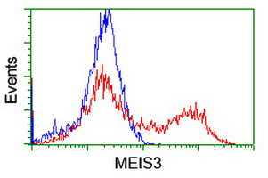 MEIS3 Antibody in Flow Cytometry (Flow)