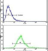 MGMT Antibody in Flow Cytometry (Flow)