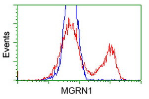 MGRN1 Antibody in Flow Cytometry (Flow)