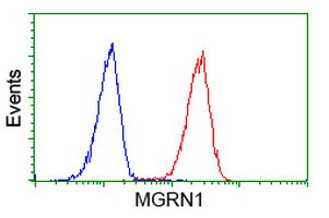 MGRN1 Antibody in Flow Cytometry (Flow)