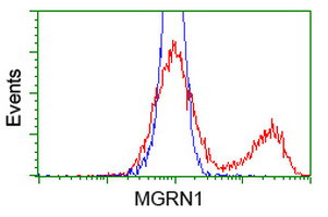 MGRN1 Antibody in Flow Cytometry (Flow)