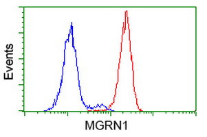 MGRN1 Antibody in Flow Cytometry (Flow)